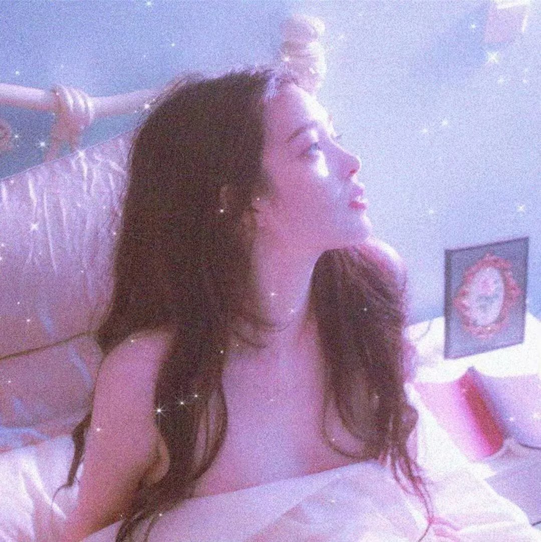摄影师贝尔蒂与海豚零距离
